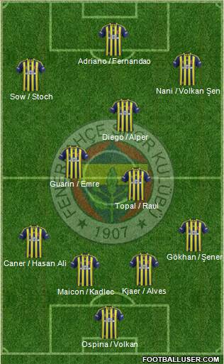 Fenerbahçe SK Formation 2015