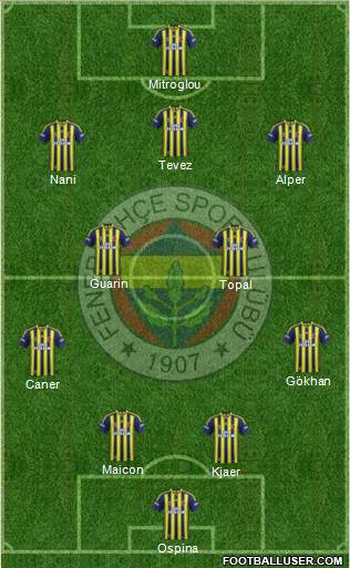 Fenerbahçe SK Formation 2015