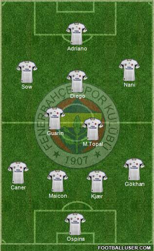 Fenerbahçe SK Formation 2015