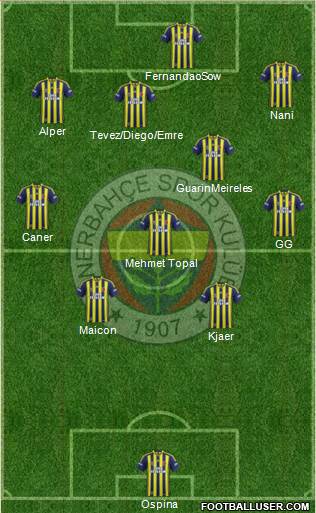 Fenerbahçe SK Formation 2015