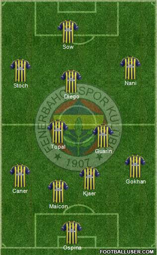 Fenerbahçe SK Formation 2015