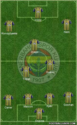 Fenerbahçe SK Formation 2015