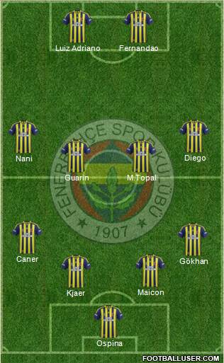 Fenerbahçe SK Formation 2015