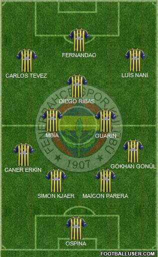 Fenerbahçe SK Formation 2015