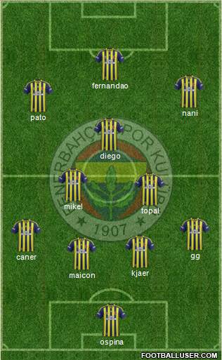 Fenerbahçe SK Formation 2015