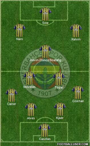 Fenerbahçe SK Formation 2015