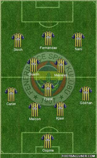 Fenerbahçe SK Formation 2015