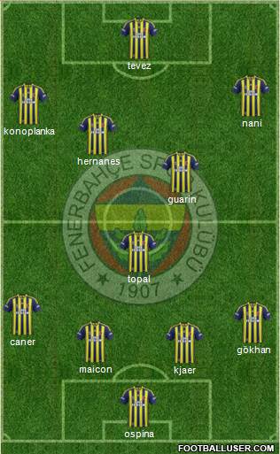 Fenerbahçe SK Formation 2015