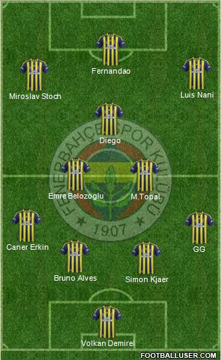 Fenerbahçe SK Formation 2015