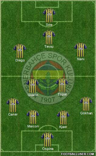 Fenerbahçe SK Formation 2015