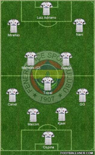 Fenerbahçe SK Formation 2015