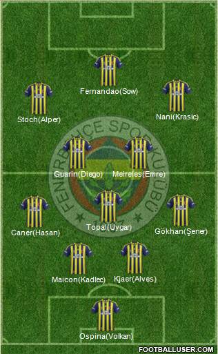 Fenerbahçe SK Formation 2015