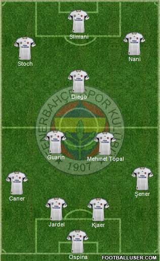 Fenerbahçe SK Formation 2015