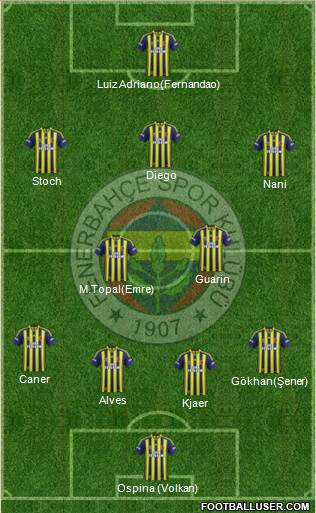 Fenerbahçe SK Formation 2015