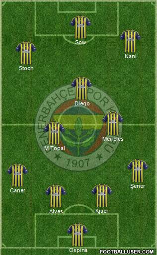Fenerbahçe SK Formation 2015