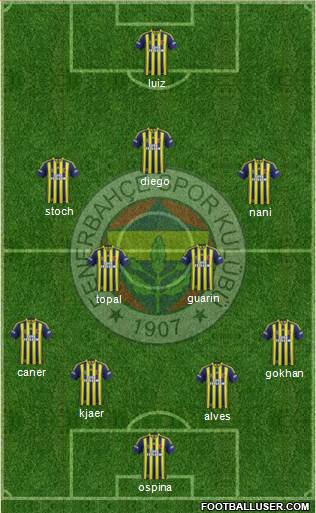 Fenerbahçe SK Formation 2015