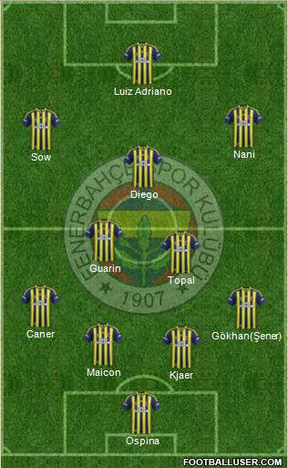 Fenerbahçe SK Formation 2015