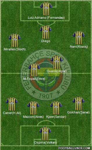 Fenerbahçe SK Formation 2015