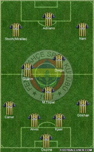 Fenerbahçe SK Formation 2015