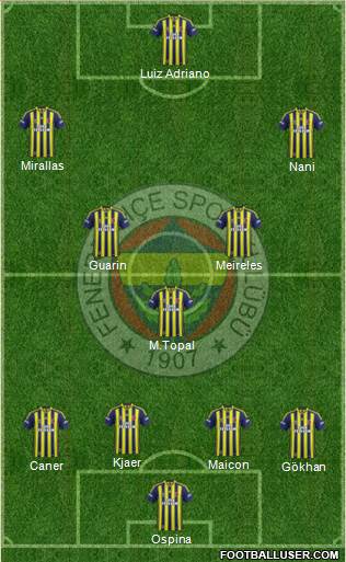 Fenerbahçe SK Formation 2015