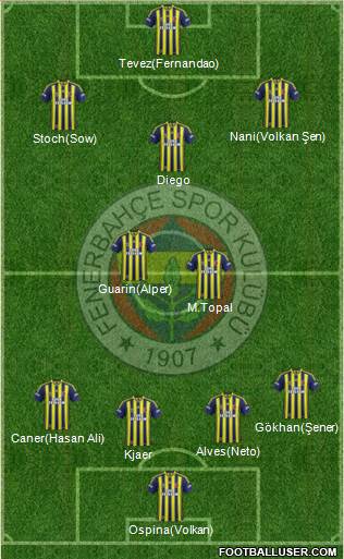 Fenerbahçe SK Formation 2015