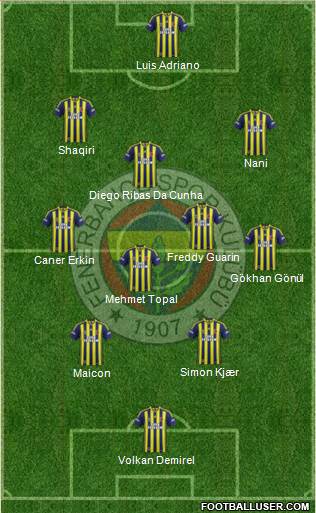 Fenerbahçe SK Formation 2015