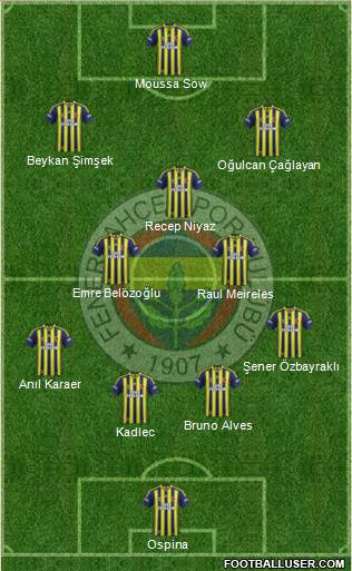 Fenerbahçe SK Formation 2015