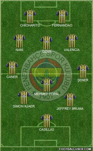 Fenerbahçe SK Formation 2015