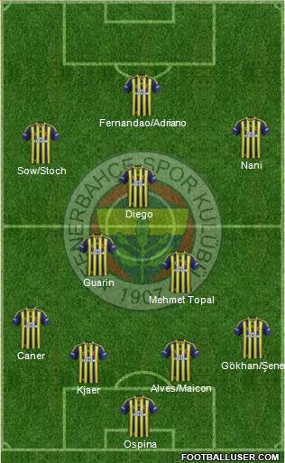 Fenerbahçe SK Formation 2015