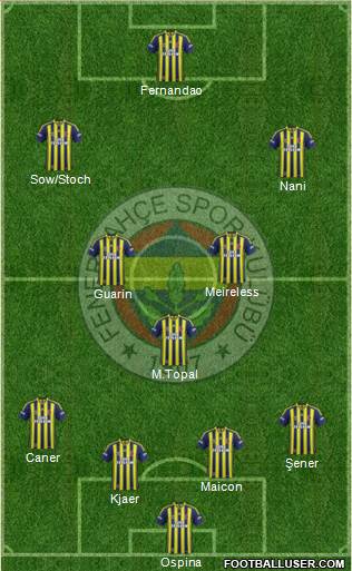 Fenerbahçe SK Formation 2015
