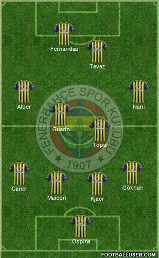 Fenerbahçe SK Formation 2015