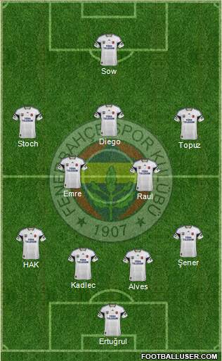 Fenerbahçe SK Formation 2015