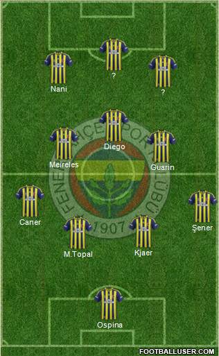 Fenerbahçe SK Formation 2015