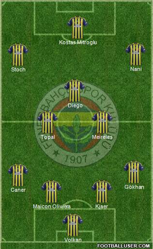 Fenerbahçe SK Formation 2015