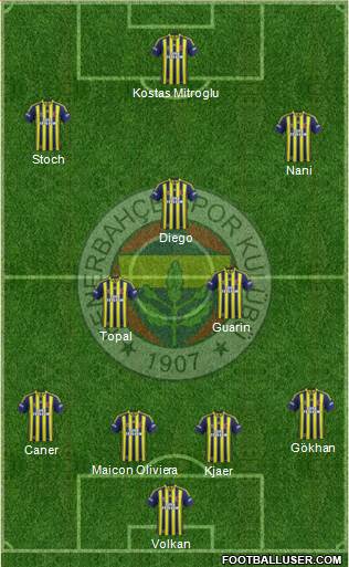 Fenerbahçe SK Formation 2015