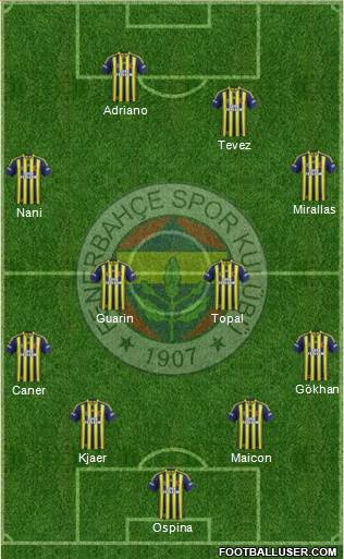 Fenerbahçe SK Formation 2015