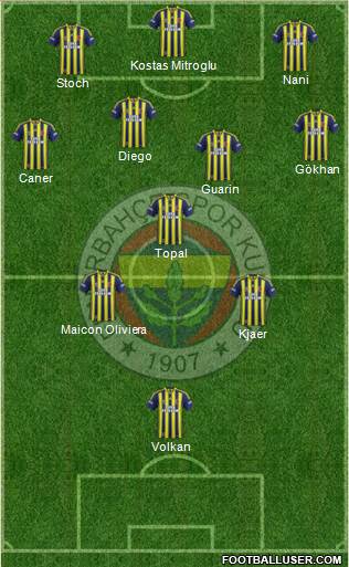 Fenerbahçe SK Formation 2015