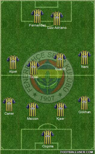 Fenerbahçe SK Formation 2015