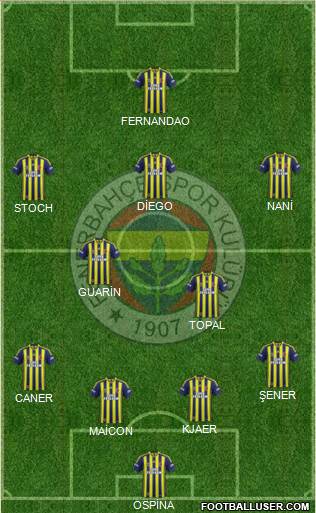 Fenerbahçe SK Formation 2015