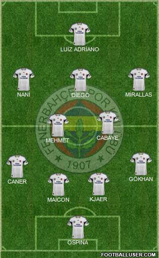 Fenerbahçe SK Formation 2015