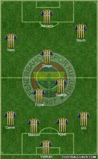 Fenerbahçe SK Formation 2015