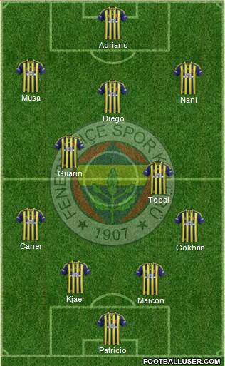 Fenerbahçe SK Formation 2015