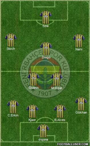 Fenerbahçe SK Formation 2015