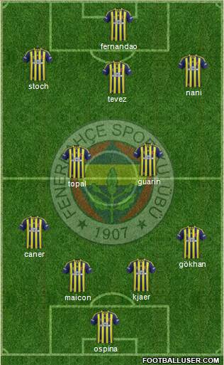 Fenerbahçe SK Formation 2015