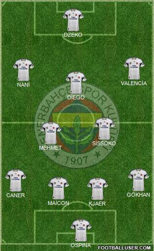 Fenerbahçe SK Formation 2015