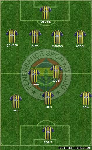 Fenerbahçe SK Formation 2015