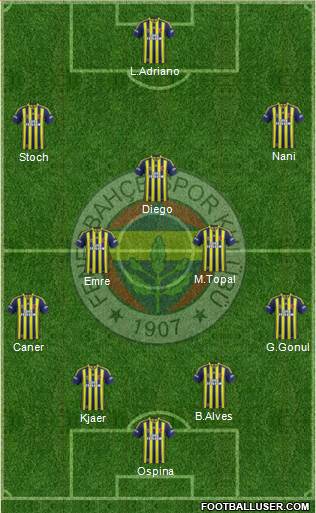 Fenerbahçe SK Formation 2015