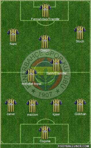 Fenerbahçe SK Formation 2015