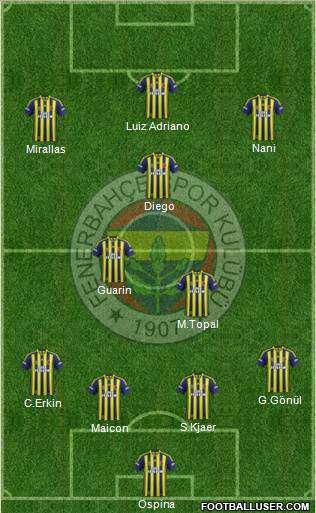 Fenerbahçe SK Formation 2015