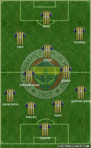 Fenerbahçe SK Formation 2015
